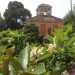 Villa Serafina-Spinelli tra i fiori della zagara: uno dei suoi tratti caratteristici  il giardino con l'agrumeto